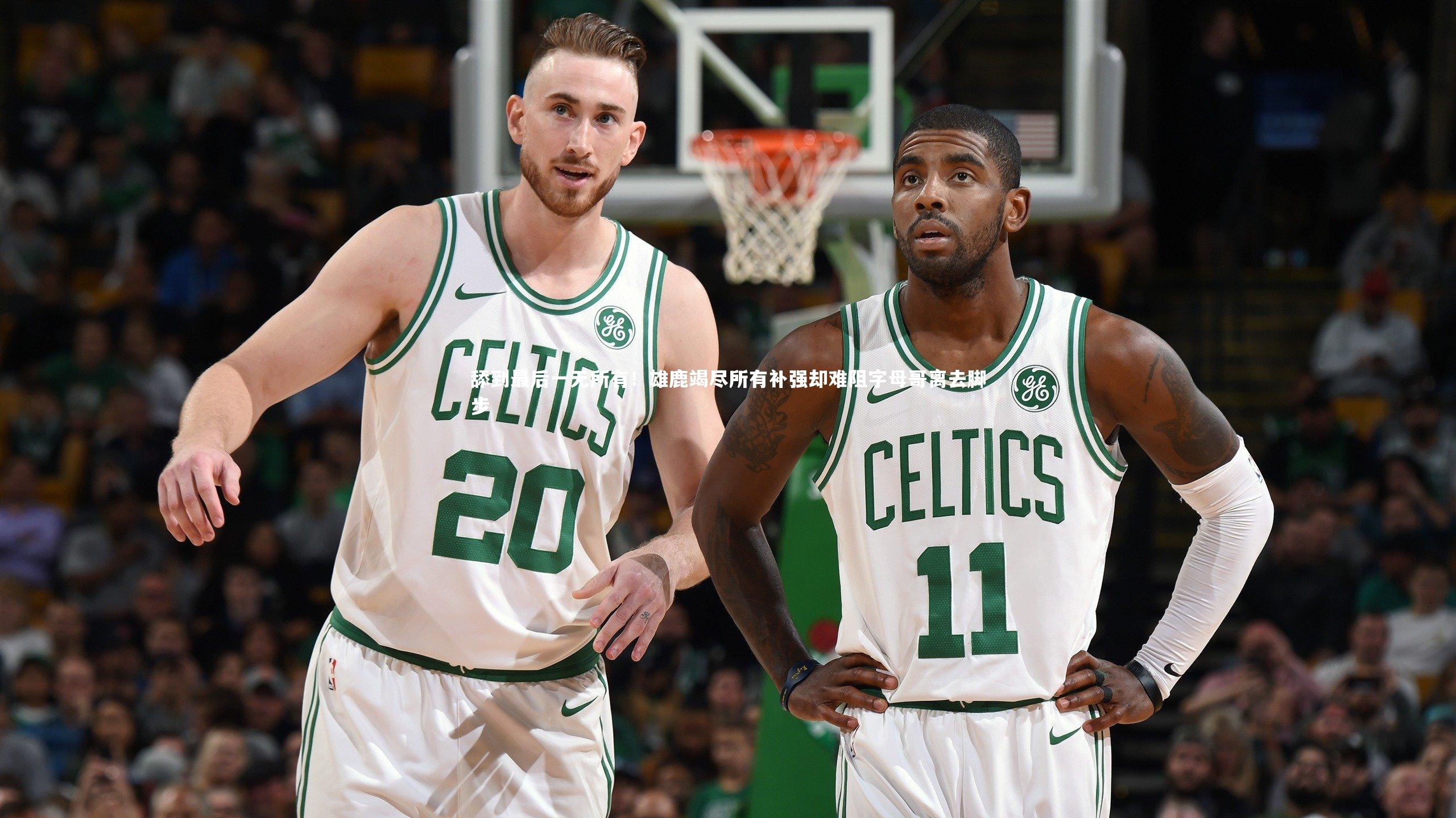 舔到最后一无所有！雄鹿竭尽所有补强却难阻字母哥离去脚步